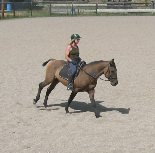 SMtiptoncanter.jpg