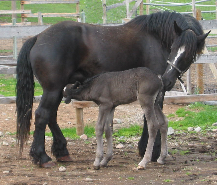 bloomandfilly2.jpg