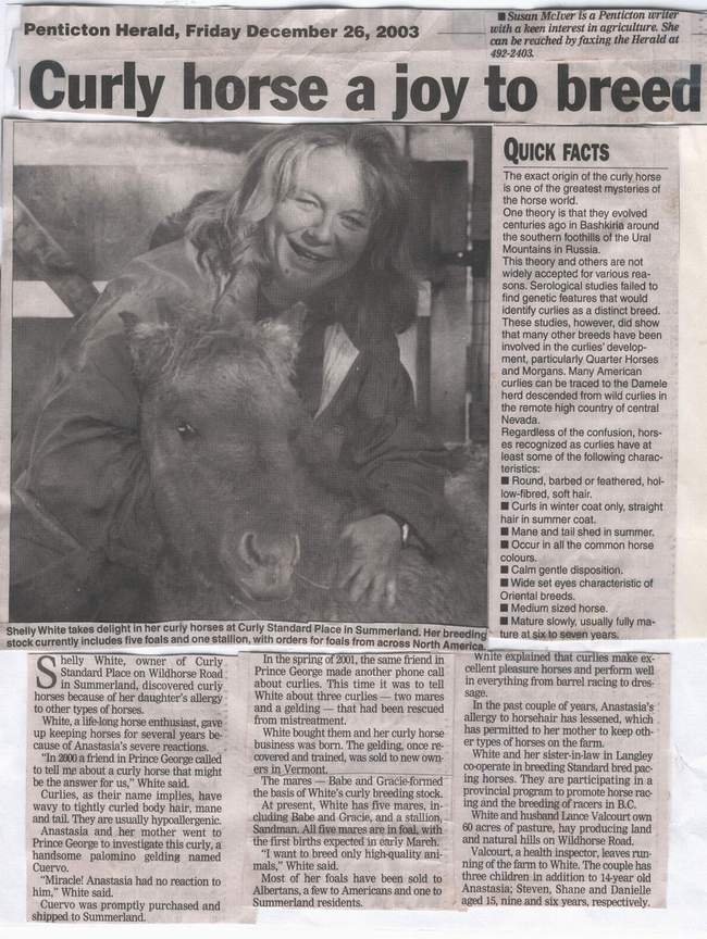 dec2003articlePenHermedium.JPG