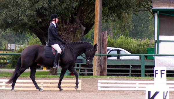 summerdressagrightf.JPG