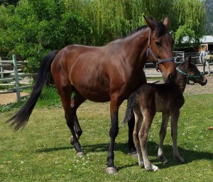 Shania stand with mom